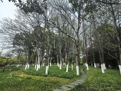 -范蠡湖公园