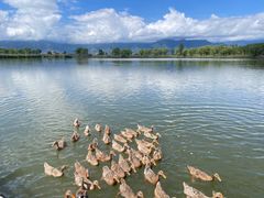 -野鸭湖国家湿地公园