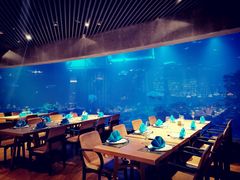 -海棠湾洲际-涛·海底餐厅·美人鱼·自助餐·海底隧道