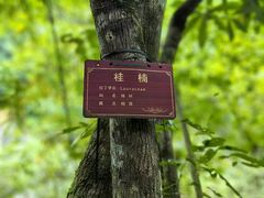 -牛角寨瀑布景区