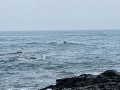 -西涌国际滨海旅游区