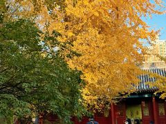 -大钟寺古钟博物馆