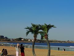 -巧克力渔家.小船海鲜家常菜(万平口店)