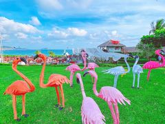 -三亚亚龙湾天域度假酒店