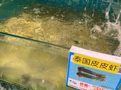 -琼大师东方烤乳猪(亚特兰蒂斯店)