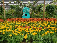 -南宫五洲植物乐园