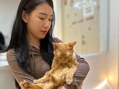 -COLOR PETS 撸猫馆·购猫·猫咖(长风大悦城店)