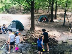 -白水寺森林公园