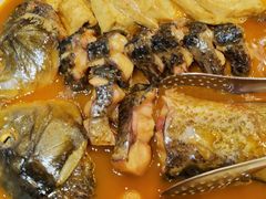 开河鲤鱼-九十九顶毡房(阜石路店)