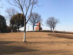 -杭州湾海上花田景区