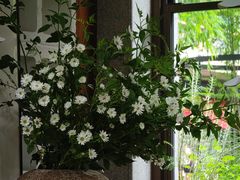 -扫雪煮茶(西村店)
