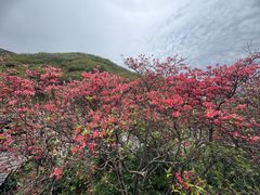 -大围山国家森林公园