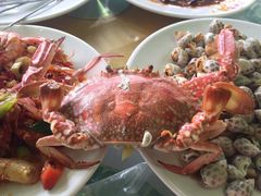 -四姑娘川味海鲜(八爪鱼店)