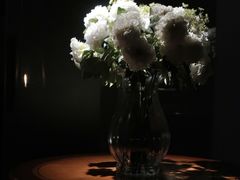 -小火花·干式熟成牛排馆Spark SteakHouse(剑桥郡店)