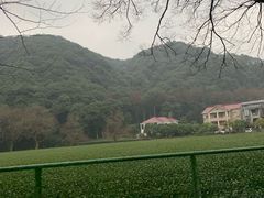 -西湖风景区十里琅珰-五云山