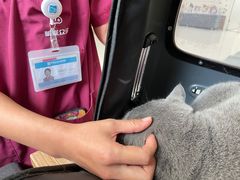 -美联众合动物医院·24h京西诊疗中心