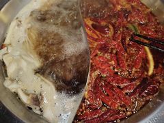 -锅说大脸毛肚重庆老火锅(佐阾店)
