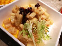 珊瑚藕-老板恋上鱼(恒隆广场店)