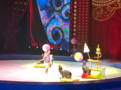 -珠海横琴长隆《卡卡虎奇遇记》