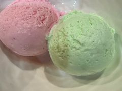 -南信牛奶甜品专家
