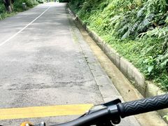 -番禺大夫山森林公园