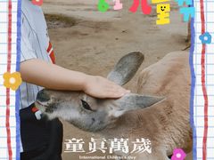 -济南野生动物世界