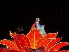 -淄博花灯齐彩城