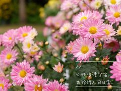 -中山公园