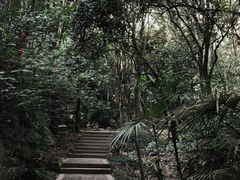 -高榜山景区