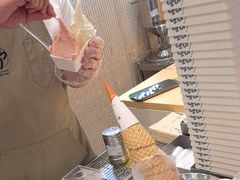 -野人先生现做冰淇淋(西安赛格店)