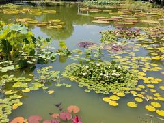 -国家植物园南园