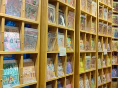 -猫的天空之城概念书店(束河店)
