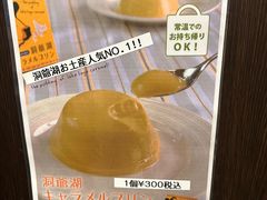 -支芴洞爷国立公园