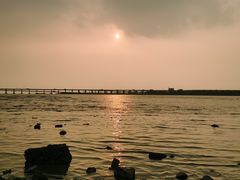 -宝安西湾红树林湿地公园