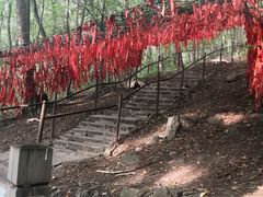 -帽儿山风景区