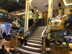 -more than meow吴止猫主题餐厅(承德 中船汇店)