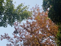 -狼山风景名胜区