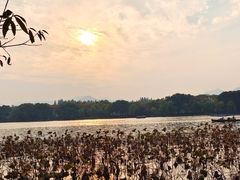 -西溪国家湿地公园