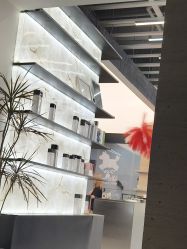 -蚂蚁造型俱乐部