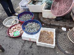 -东仓门早市