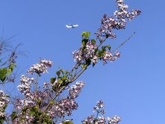 -斯普瑞斯奥特莱斯