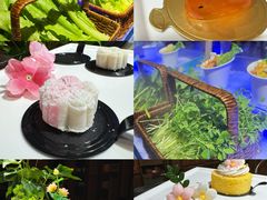 -裕龙汤泉
