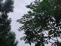 -香山公园