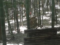 -石燕湖生态旅游景区