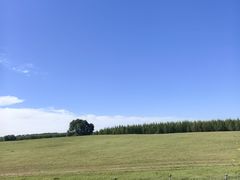 -御道口草原森林风景区