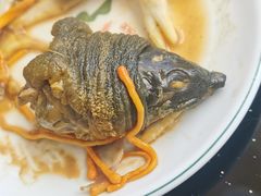 -甲鱼火锅(北村小区店)