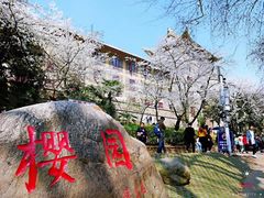 -武汉大学-樱园