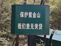 -紫金山山顶公园