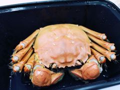-黄记大闸蟹专卖店·活蟹·醉蟹