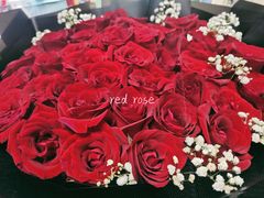 -循礼门鲜花花市(武汉循礼门店)